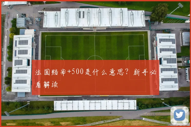 法国赔率+500是什么意思？新手必看解读