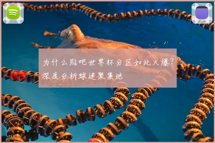 为什么贴吧世界杯分区如此火爆？深度分析球迷聚集地