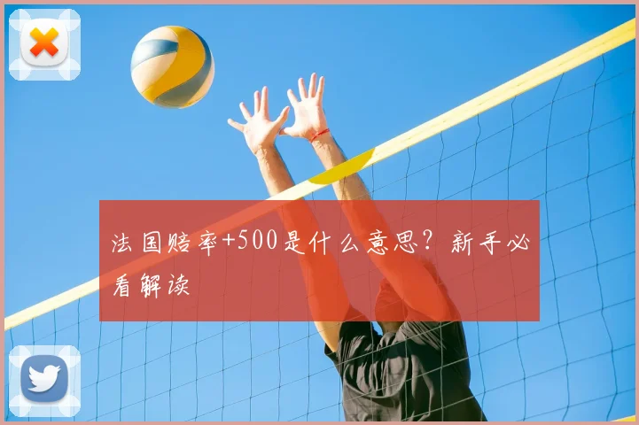 法国赔率+500是什么意思？新手必看解读