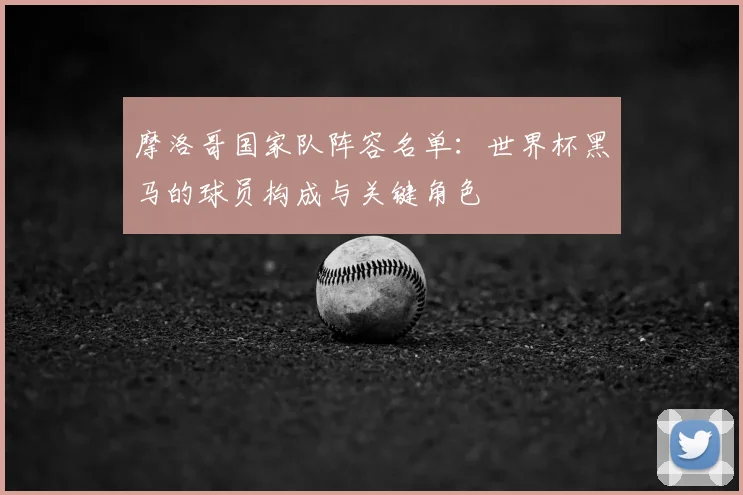 摩洛哥国家队阵容名单：世界杯黑马的球员构成与关键角色