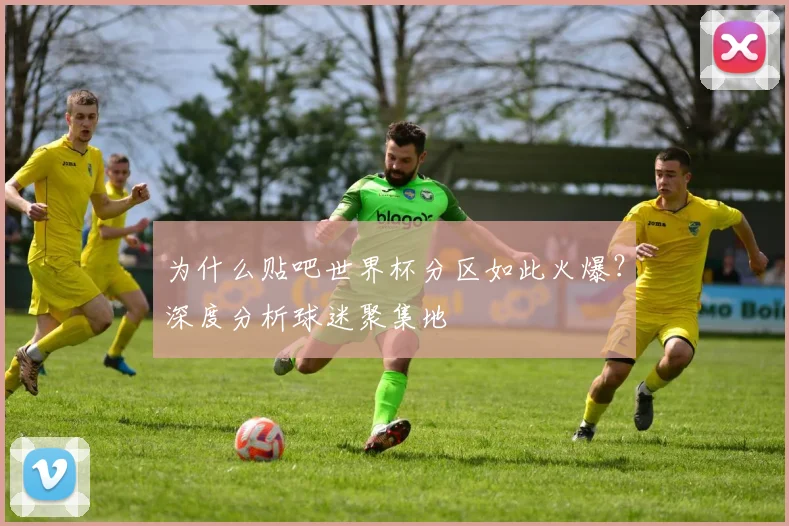 为什么贴吧世界杯分区如此火爆?深度分析球迷聚集地